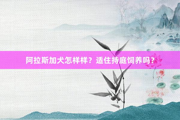 阿拉斯加犬怎样样？适住持庭饲养吗？